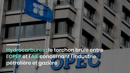Hydrocarbures : le torchon brûle entre l'OPEP et l'AIE concernant l'industrie pétrolière et gazière