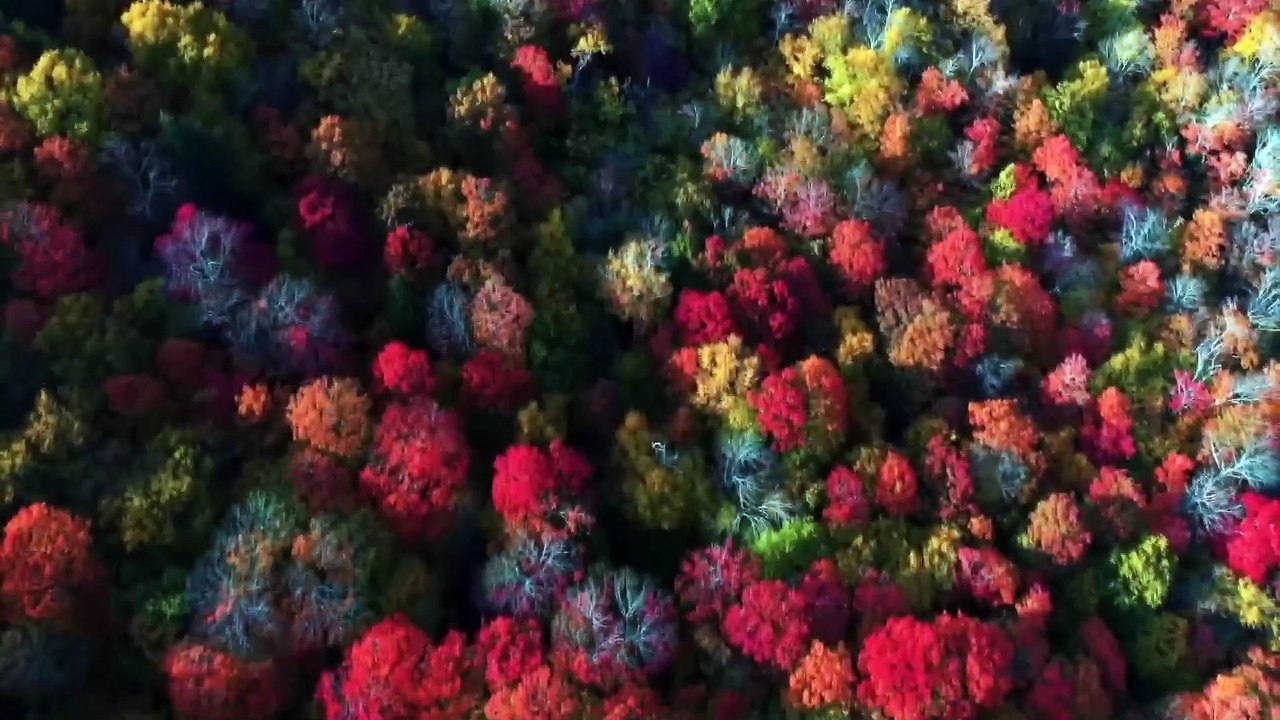 Rockowy koncert w Koszalinie - zapowiedź