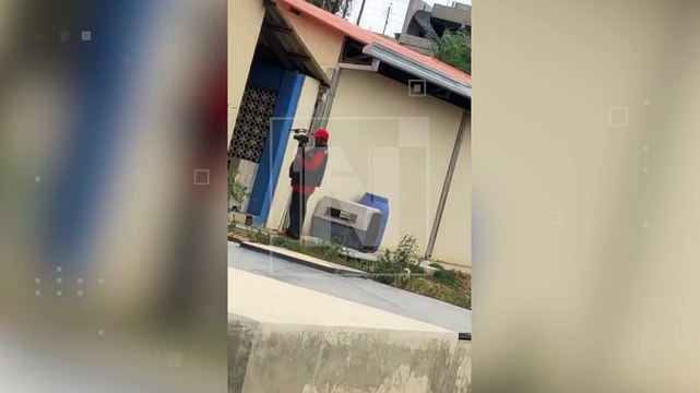 Perros estaban en bolsas : Activistas denuncian biocidio masivo en Zoonosis de Sacaba