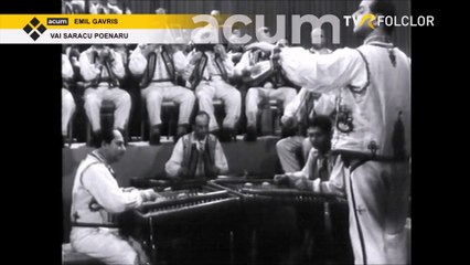 Emil Gavris - Vai saracu poenaru (arhiva TVR)