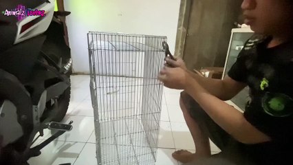 Unboxing sangkar galvanis