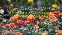 Mozart Symphony No. 40 in G minor, K. 550-1.Molto allegro-E-ORGAN