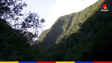 On était avec Manu Payet sur son île natale | Reportage à la Réunion