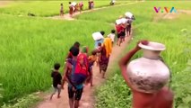 Menyusuri Cerita Kelam di Balik Lontang-lantungnya Rohingya