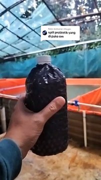 Ini PROBIOTIK yang saya gunakan untuk PEMUPUKAN air kolam, BIBIS PAKAN, dan MENGOBATI ikan lele