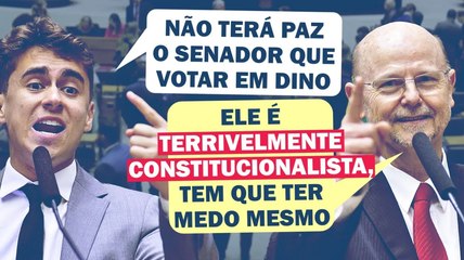OBSESSÃO: BOLSONARISTAS ADOTAM BANDEIRA ÚNICA, CONTRA FLÁVIO DINO NO STF; POR QUE SERÁ? | Cortes 247