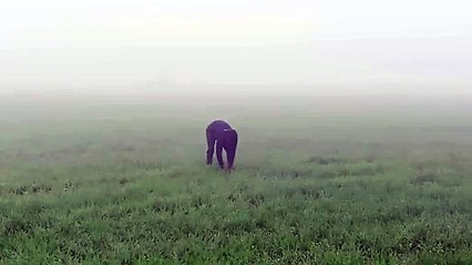 खिलाडिय़ों ने कोहरे में लिया फुटबॉल खेलने का आनंद