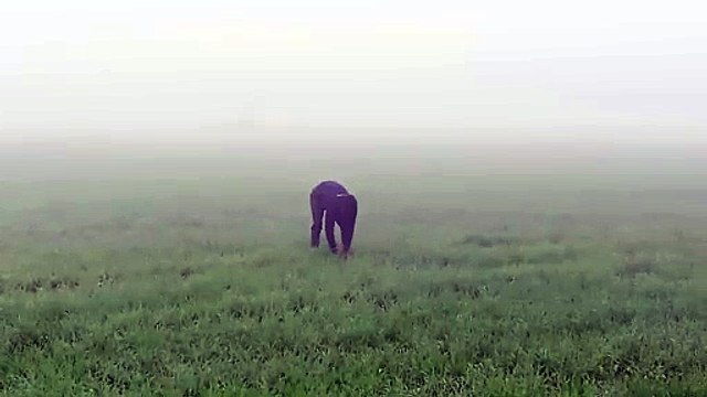 खिलाडिय़ों ने कोहरे में लिया फुटबॉल खेलने का आनंद