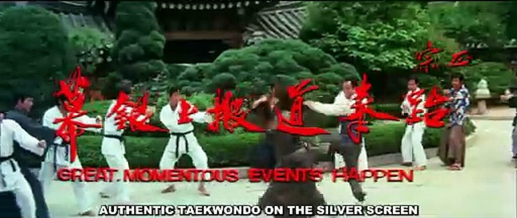 Le tigre noir du karaté Bande-annonce (EN)