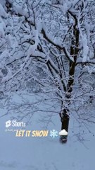 let it snow ❄️❄️ #happy #love #snow