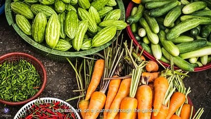 Top 5 healthiest vegetables