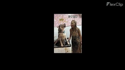 My dog hates to take a bath!