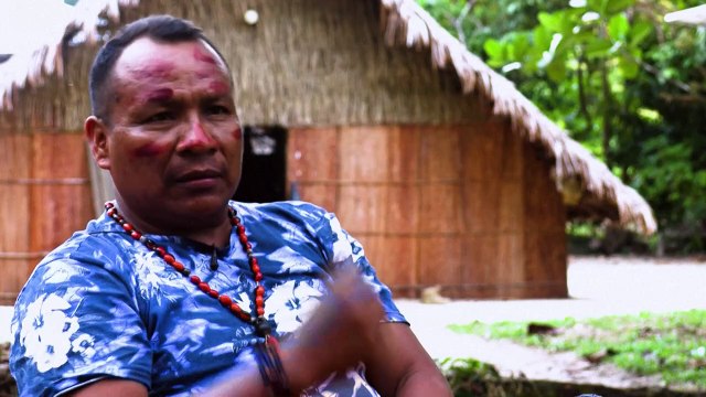 Indígenas colombianos vs. créditos de carbono: el lado oscuro de la geopolítica ambiental