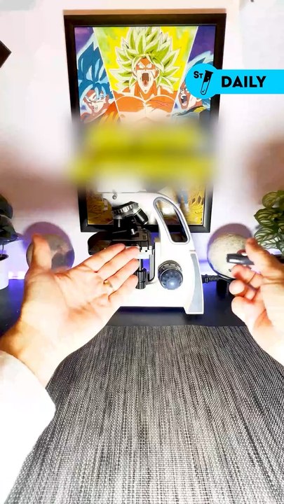 Du s@ng au microscope, ça ressemble à quoi ? 