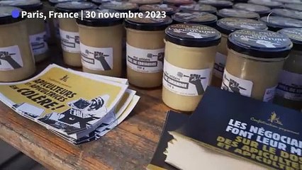 "Stop aux imports de miel à bas prix": le cri d'alarme d'apiculteurs français