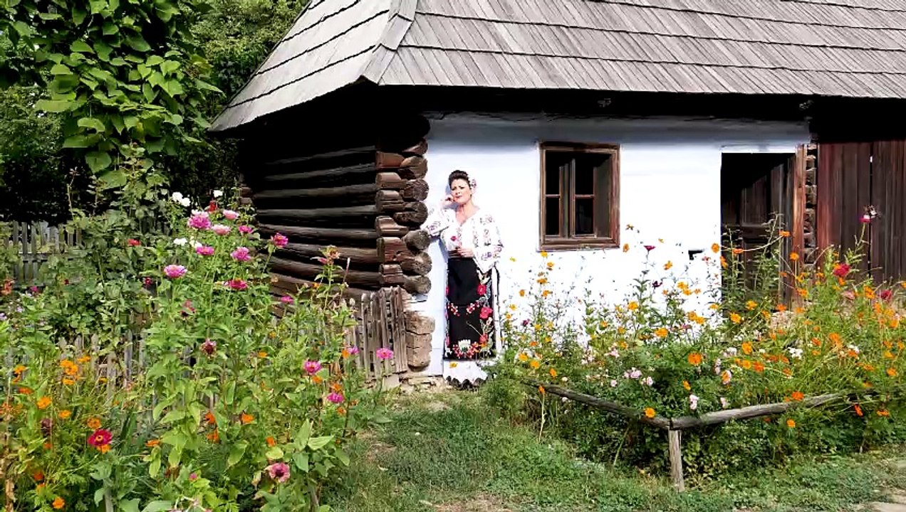 Steliana Sima - Doamne, ce vina au pruncii