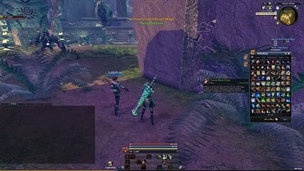 Raiderz 2023-11-29 food bug FIXED