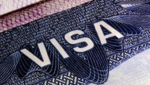 Estos son los tipos de visa que ofrece Estados Unidos para los profesionales extranjeros que quieren trabajar en la unión americana