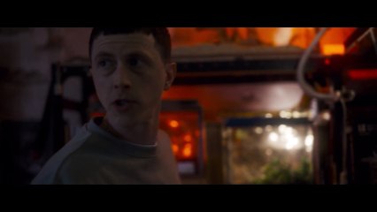 VERMINES Bande Annonce (2023) Invasion d'Araignées