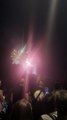 Le Feu d’artifice du 14 juillet Grenoble  Parc Jean-Verlhac Villeneuve #france #grenoble #show (11)