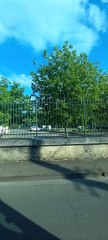 Chartes Bus 1 Direction Barjouville - Pluviers  #france #bustour #bus #frenchcity  (4)