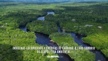 Indígenas colombianos x créditos de carbono: o lado sombrio da geopolítica ambiental