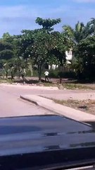 Asaltan a dos miembros de la Iglesia mormona en La Ceiba