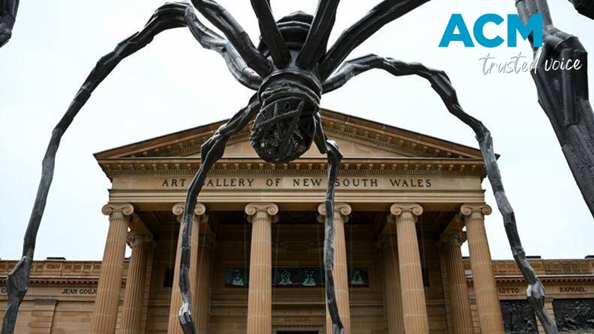 The sculpture, 'Maman', has been hung over the entrance to the Louise Bourgeois exhibition at Sydney's Art Gallery of NSW. Video via AAP.
