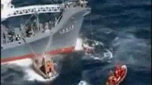 Confronting-the-whalers