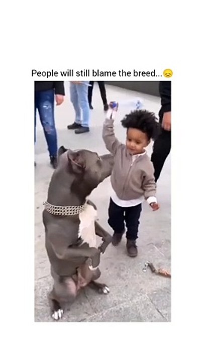 Why no one stop that kid