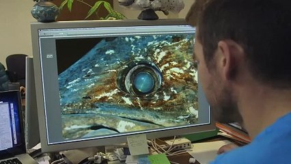 Le Cœlacanthe, plongée vers nos origines Bande-annonce (FR)