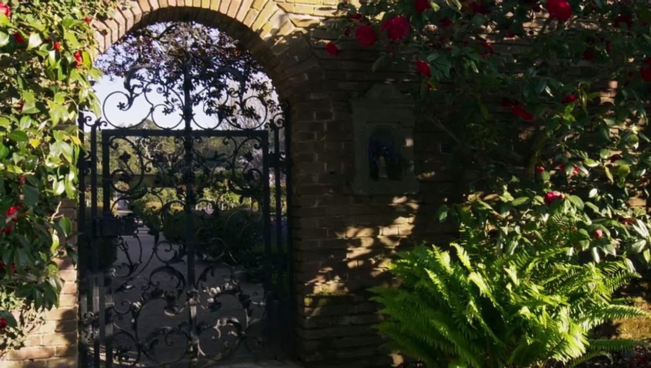 Mariage dans les Hamptons Bande-annonce (EN)