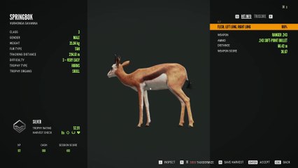 First time hunting calm animals and only one shot - The Hunter Call of The Wild