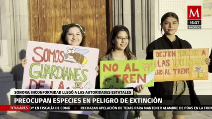 Realizan Marcha de las Luciérnagas en Hermosillo, Sonora para proteger santuario