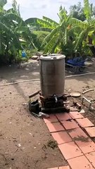 Don't mess with chickens
