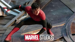 Spider-Man 4: Tom Holland Reveals His One Condition for Reprising the Role