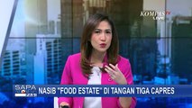 Anies Kritik Soal Food Estate, Bagaimana Gagasan dari Kubu Prabowo dan Ganjar?