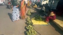 Thousands of quintals of custard apple is sold on the streets