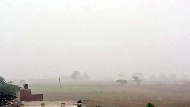 Video : दिनभर छाया कोहरा, सर्द हवाओं ने ठिठुराया