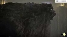 SHADOW OF THE COLOSSUS™ 汪達與巨像_胡鬚堅