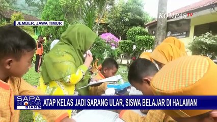 Download Video: Plafon Atap Kelas Jadi Sarang Ular, Siswa SDN Suci 05 Jember Terpaksa Belajar di Halaman