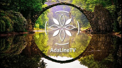 Relaxing Music sound with Keel billed toucan vidio - daline TV