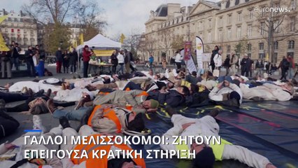 Γαλλία: Μεγάλη πτώση στην τιμή του μελιού