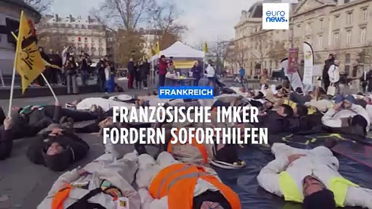 Honigkrise in Paris: Wütende Imker fordern Soforthilfen