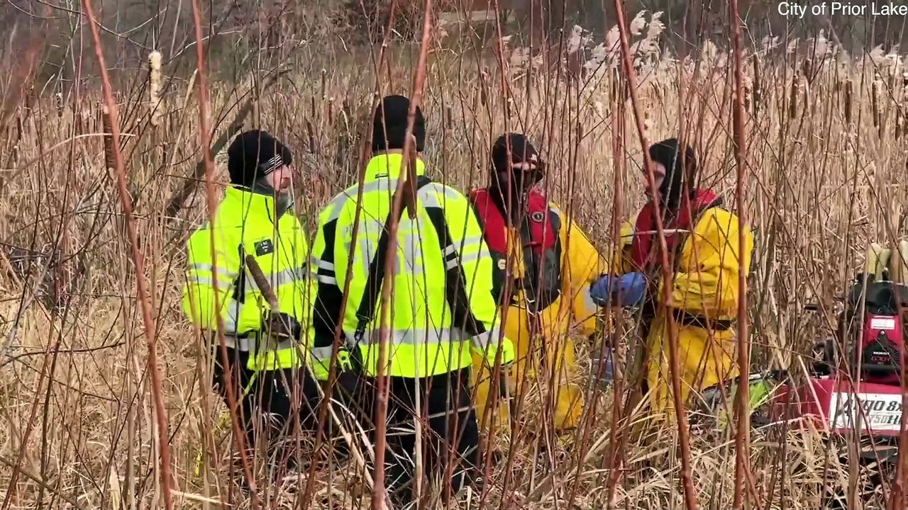 Firefighters crawl across frozen lake to rescue deer stuck on thin ice