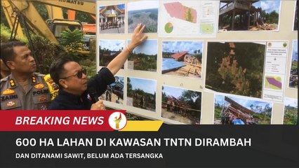 600 Ha Lahan Di Kawasan TNTN Dirambah Dan Ditanami Sawit, Belum Ada Tersangka (1)
