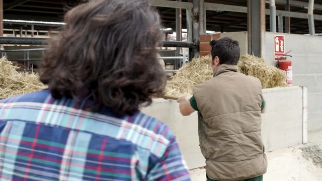 Los ganaderos impulsan su compromiso con el bienestar animal europeo