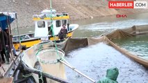 Gümüşhane'de Torul Baraj Gölü'nde Kültür Balık Üretimi Artıyor