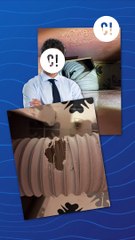 Un rat qui sort des toilettes ?!