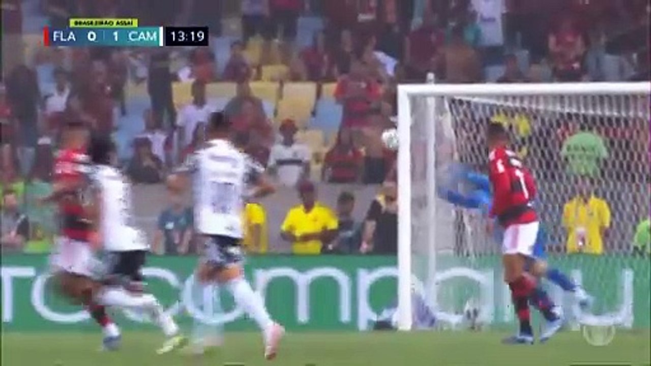Atletico-MG 3-0 Win Over Flamengo Rj in the Brazilian Serie A